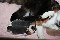 Photo_10