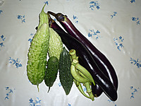 Photo_4