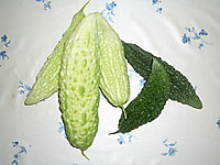 Photo_5