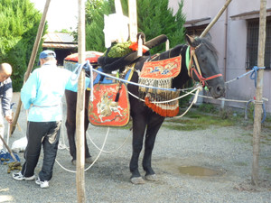 P1000460